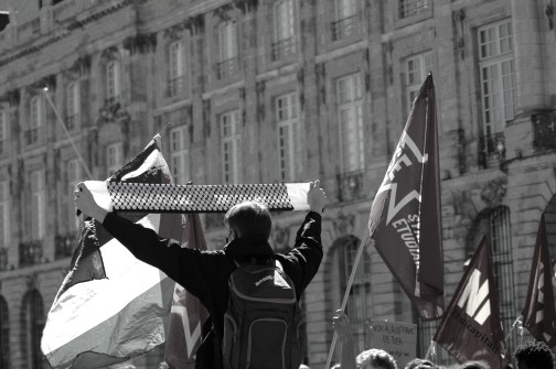Manifestation contre le projet de loi " permis de tuer " Bordeaux 19/09/2026